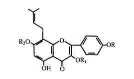 product-269-158