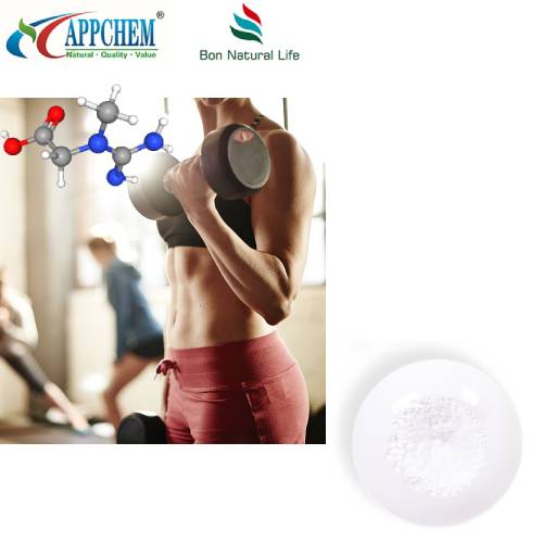 Kreatin Monohydrat Bulk Pulver