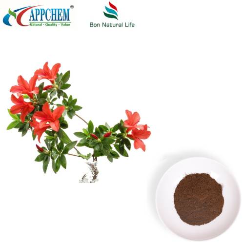 Dahurian Rhodoendron bladekstrakt