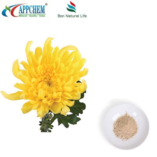 Flos Chrysanthemi ekstrakt pulver