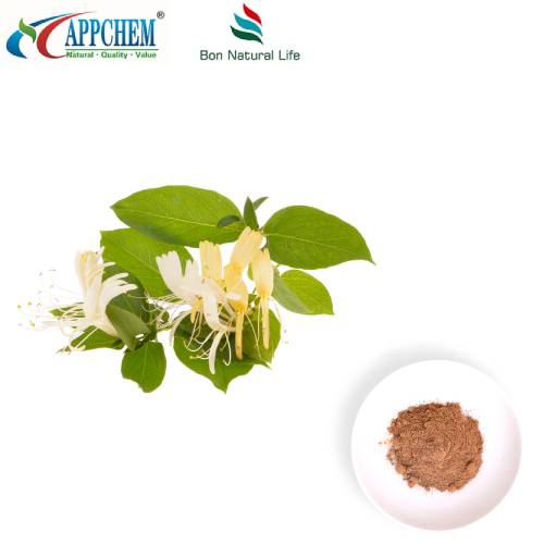 Honeysuckle Flower Extract Pulver