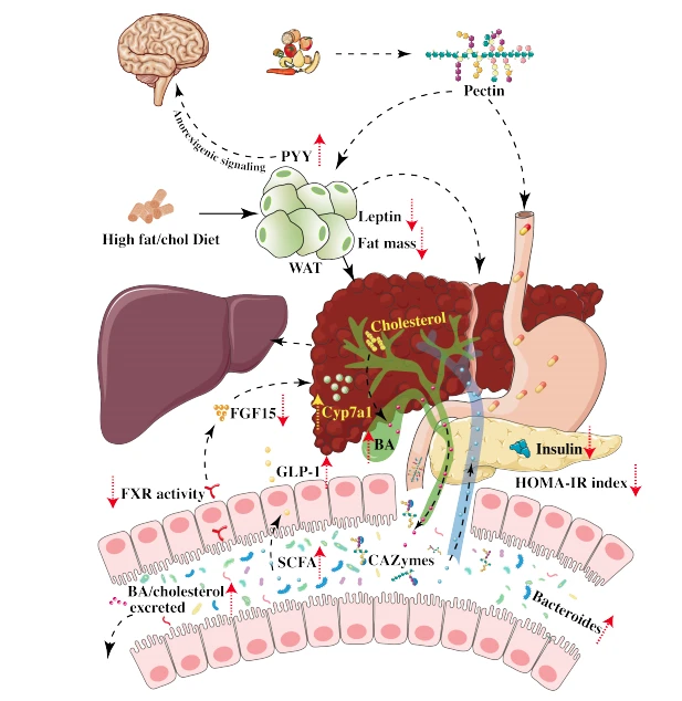 info-1-1 info-1-1