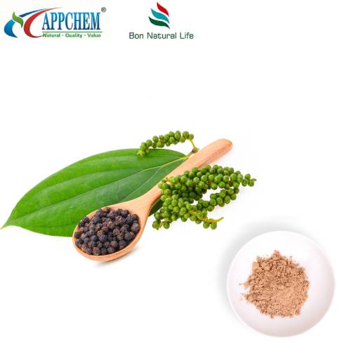 Ligustrum frugtekstrakt pulver