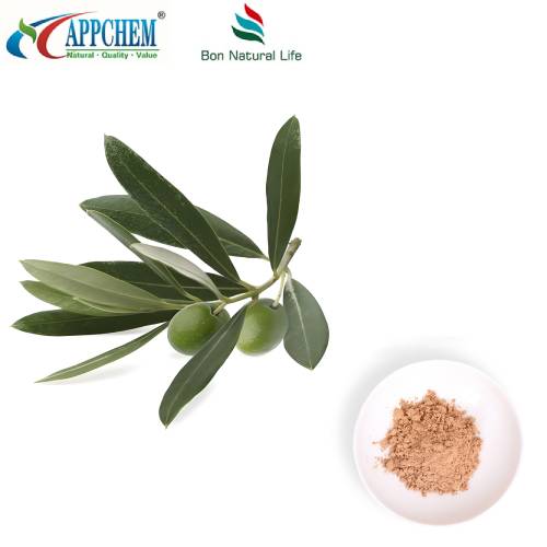 Oleuropein pulver