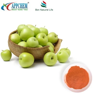 Apple polyphenols pulver
