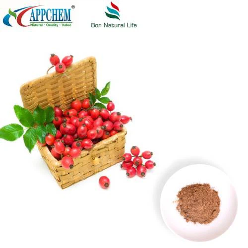 Hyben ekstrakt pulver