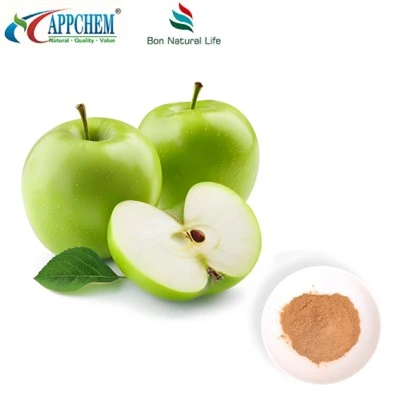Æbleekstrakt Procyanidin B2 HPLC Test 29106-49-8