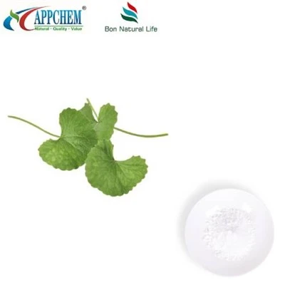Centella Asiatica ekstrakt pulver