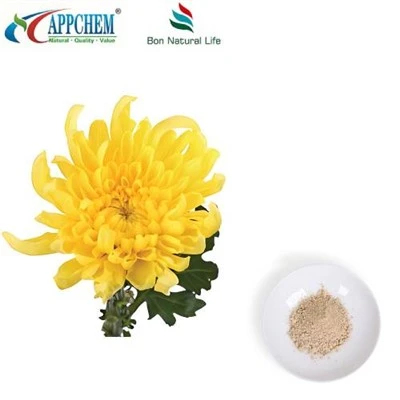 Flos Chrysanthemi ekstrakt pulver