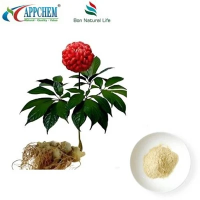 Notoginseng rodekstrakt
