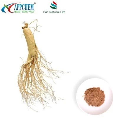 Panax Ginseng ekstrakt pulver