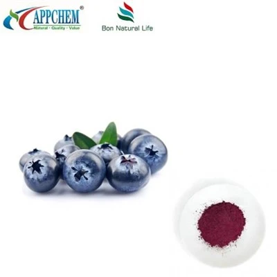 Pure Blueberry Extract Pulver